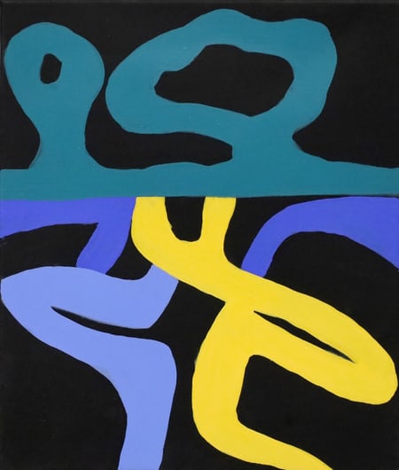 Franca Pisani — Versilia
